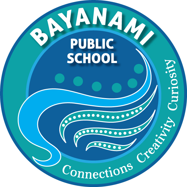 Bayanami Public School