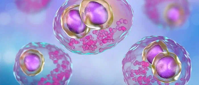 Cytomegalovirus cells
