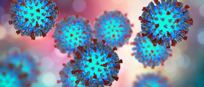 Measles virus cells