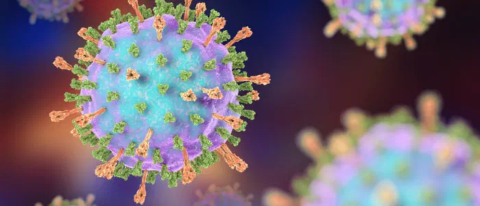 Mumps virus cells
