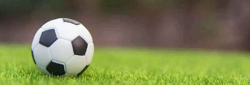 Shot of soccer ball sitting on lush green grass.